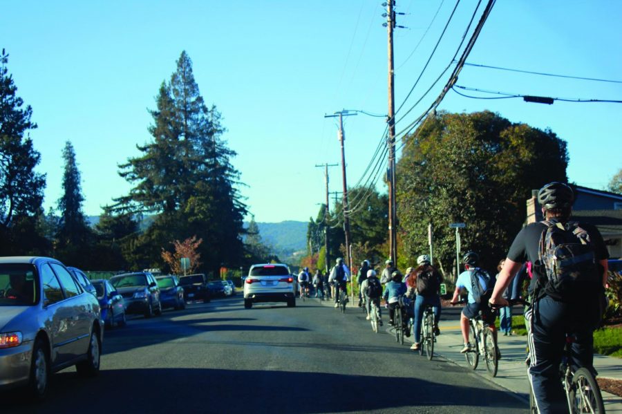 Commuters clash: car-biker conflicts spark frustration
