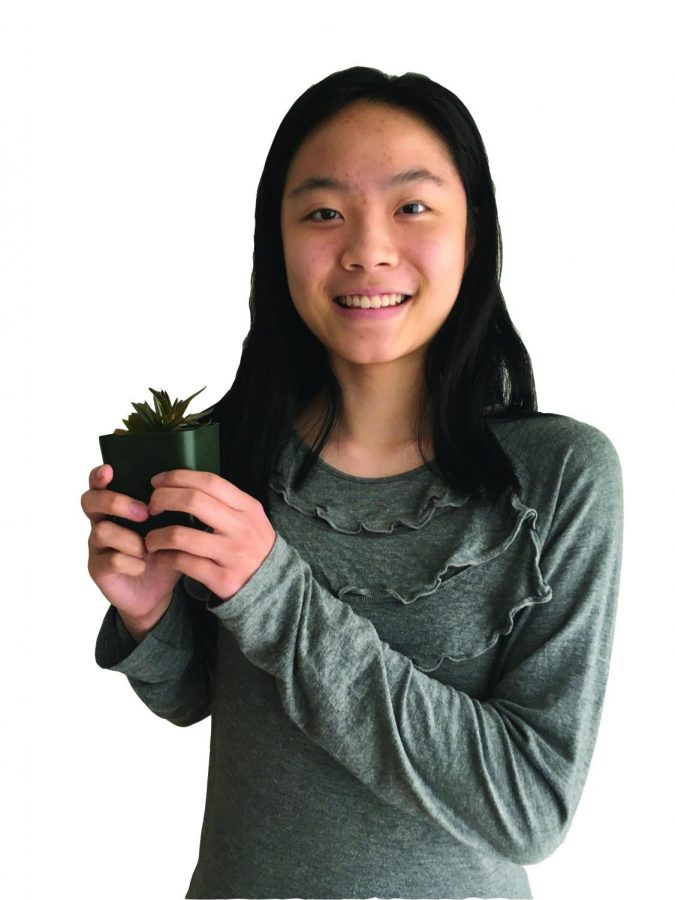 Staffer celebrates succulents